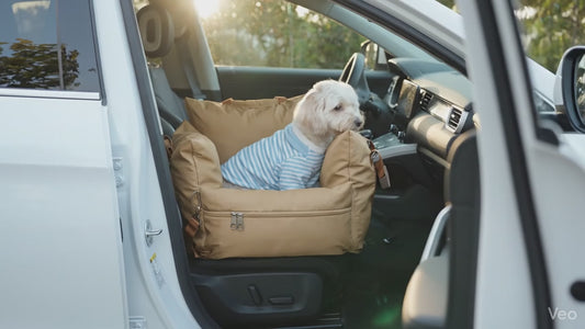 Cozy Retreat Carrier - Tan